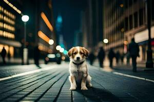 uma cachorro sentado em a rua às noite. gerado por IA foto