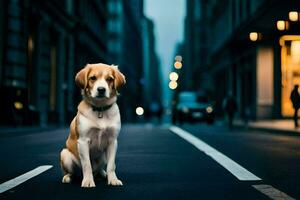 uma cachorro sentado em a rua às noite. gerado por IA foto