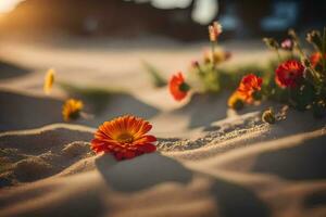 flores dentro a areia às pôr do sol. gerado por IA foto