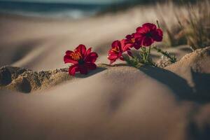 vermelho flores dentro a areia. gerado por IA foto