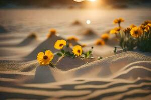 a Sol é configuração sobre a deserto e a flores estão florescendo. gerado por IA foto