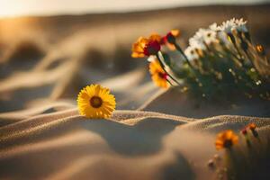 foto papel de parede a deserto, flores, areia, sol, flores, areia, flores, flores,. gerado por IA