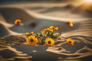 a deserto flores dentro a pôr do sol. gerado por IA foto