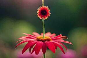 uma solteiro flor é em pé dentro a meio do uma campo. gerado por IA foto