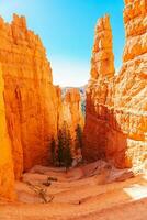 caminhada trilha às rainhas jardim tentativas às Bryce desfiladeiro nacional parque dentro utah. surpreendente natureza com lindo capuzes, pináculos e pináculos Rocha formações foto