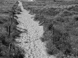 ilha langeoog no mar do norte foto