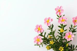 ai gerado flores e ramalhete do pequeno amarelo, laranja, Rosa flores em uma branco fundo dentro uma minimalista estilo. foto