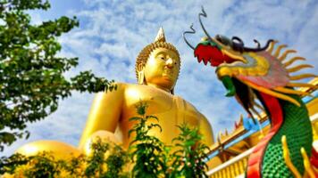 a ótimo Buda às wat muang têmpora ang Correia província Tailândia que é a mais alto dourado budista escultura dentro Tailândia foto