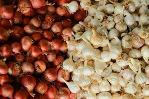 cebola e alho em exibição às local mercado, fechar-se do fresco vermelho cebolas e alho, foto