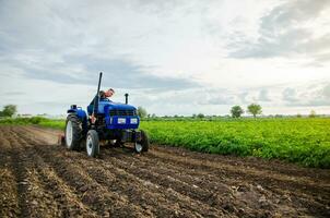 agricultor com trator trabalhando dentro a campo. moagem solo, esmagamento e afrouxamento terra antes corte linhas. preparatório terraplenagem antes plantio uma Novo cortar. terra cultivo. agricultura, agricultura. foto