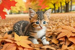 a curioso gatinho olhares, outono fundo. ai generativo pró foto