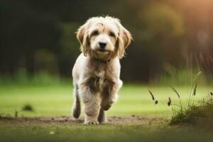 uma cachorro corrida em uma gramíneo campo. gerado por IA foto