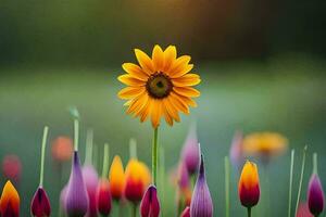 uma amarelo flor carrinhos Fora dentro uma campo do colorida flores gerado por IA foto