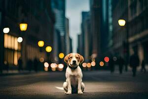 uma cachorro sentado em a rua dentro uma cidade. gerado por IA foto