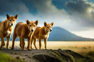 três Castanho cachorros caminhando em uma sujeira estrada. gerado por IA foto