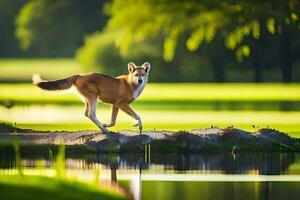 uma cachorro caminhando através uma registro dentro uma lago. gerado por IA foto