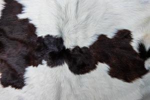 casaco de pele de vaca marrom com pelo preto branco e manchas marrons
