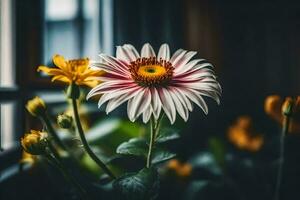 uma flor é dentro frente do uma janela. gerado por IA foto