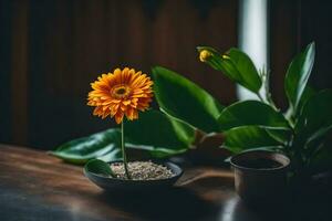 uma solteiro laranja flor senta dentro uma pequeno tigela em uma mesa. gerado por IA foto