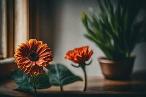 laranja flores dentro frente do uma janela. gerado por IA foto