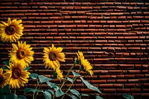 girassóis contra uma tijolo muro. gerado por IA foto