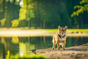 uma tigre em pé em a costa do uma lago. gerado por IA foto