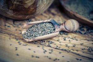 semente de anis em madeira de oliveira foto