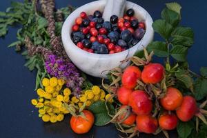 medicina alternativa com frutas e bagas de ervas farmacêuticas