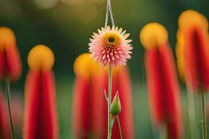 uma flor é suspensão a partir de uma colar dentro uma campo. gerado por IA foto