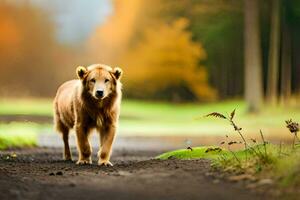 uma cachorro caminhando em uma sujeira estrada dentro a madeiras. gerado por IA foto