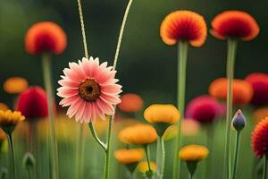 uma campo do colorida flores com uma solteiro Rosa flor. gerado por IA foto