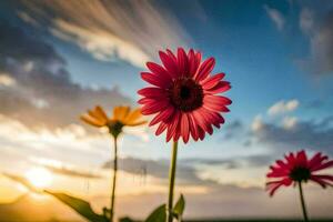 foto papel de parede a céu, flores, a sol, a céu, flores, a sol, o. gerado por IA