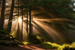 cênico panorama raios do luz dentro a floresta criada com generativo ai tecnologia foto