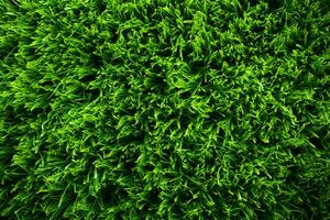 uma exuberante, topo baixa Visão do vibrante verde Relva carpete natureza ai gerado foto