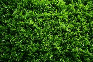 uma exuberante, topo baixa Visão do vibrante verde Relva carpete natureza ai gerado foto