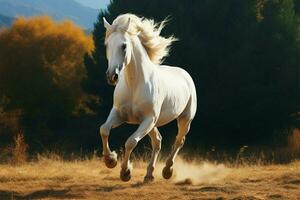 majestoso branco revestido cavalo galopando graciosamente através a aberto terreno ai gerado foto