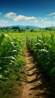 brotando milho linhas privado campo, exuberante verde linhas graça agrícola panorama vertical Móvel papel de parede ai gerado foto