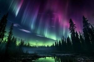 auroras Magia roxa e verde luzes acima a árvore linha ai gerado foto