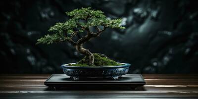 bonsai árvore em uma Sombrio fundo. minimalismo. generativo ai foto