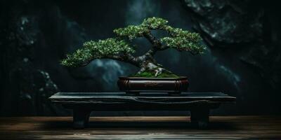 bonsai árvore em uma Sombrio fundo. minimalismo. generativo ai foto