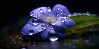 linda pervinca flor com pingos de chuva. generativo ai foto