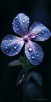 linda pervinca flor com pingos de chuva. generativo ai foto