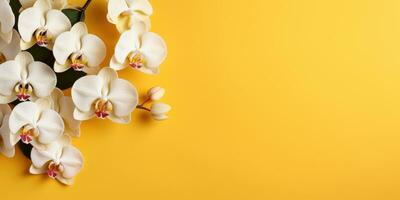 flores em uma branco orquídea ramo em uma amarelo fundo, espaço para texto, generativo ai foto