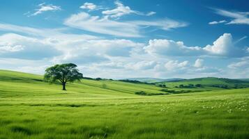 campo do verde debaixo azul céu ai gerado foto