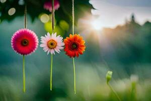 três colorida flores suspensão a partir de cordas dentro a Sol. gerado por IA foto