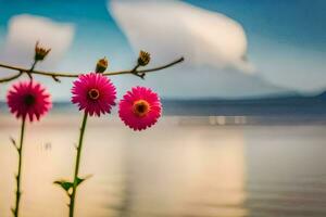 foto papel de parede a céu, flores, a mar, montanhas, a lago, flores, a mar. gerado por IA