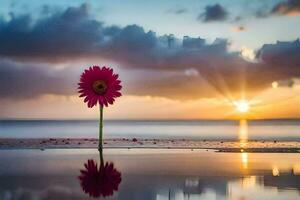 uma solteiro Rosa flor carrinhos dentro a meio do a água às pôr do sol. gerado por IA foto