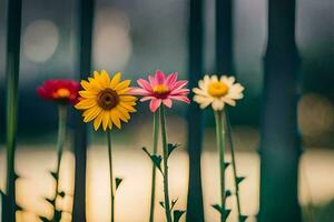 quatro colorida flores estão em pé dentro frente do uma cerca. gerado por IA foto