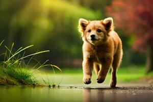 uma cachorro corrida através uma molhado gramíneo campo. gerado por IA foto