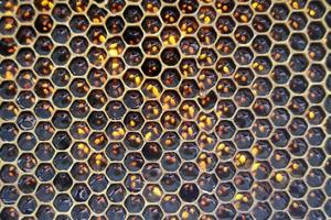 gota de mel de abelha pingando de favos hexagonais foto